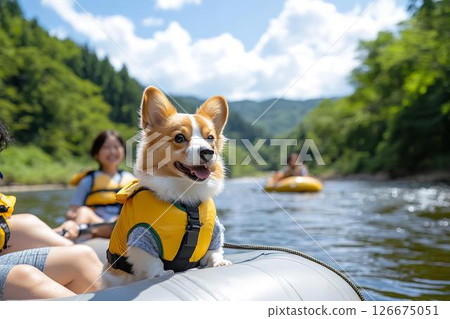 Corgi and family summer leisure enjoying river rafting 126675051