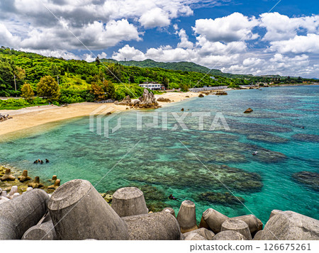 崎本部大猩猩排 126675261