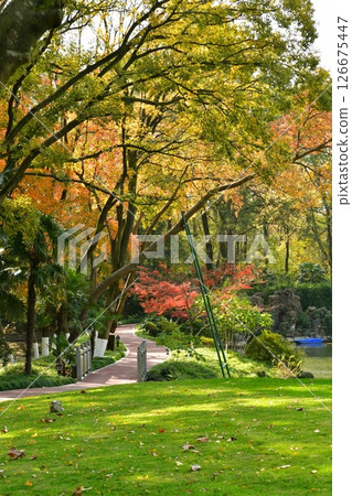 Photo of the path in the autumn forest 126675447