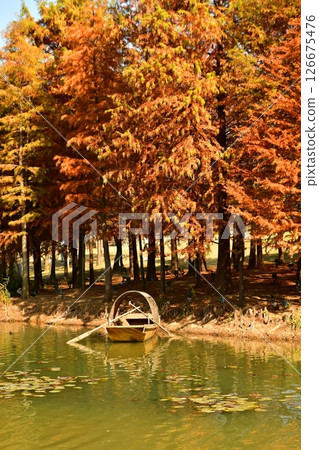 Photo of a traditional Chinese-style wooden boat moored next to the golden woods in autumn Photo of a traditional Chinese-style wooden boat moored next to the golden woods in autumn 126675476