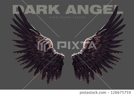 Dark angel wings sketch, heraldic wings pair, bird winged feathers vector hand drawn illustration, freedom heaven symbol 126675759