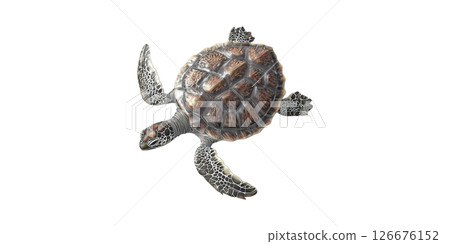 Realistic Sea Turtle Illustration. Marine Life And Conservation Symbol Isolated On Transparent Background 126676152