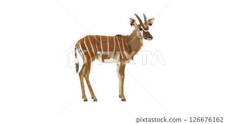 Bongo Antelope. Wildlife And Conservation Symbol Isolated On Transparent Background 126676162