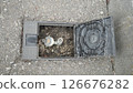 Water sprinkler 126676282