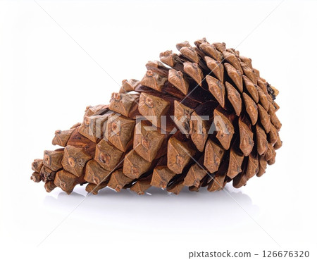 Pine Cone Natural Wooden Texture Detail Photography 126676320