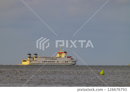 Ferry sailing on the calm sea with seagulls in the foreground 126676793
