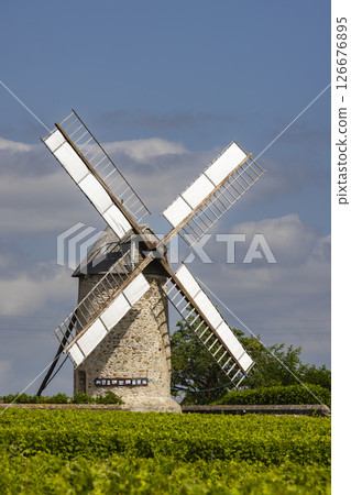 Traditional windmill standing in a vineyard in Chaudefonds sur Layon, France 126676895