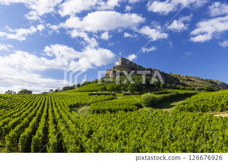 Rock of Solutre with vineyards, Burgundy, Solutre-Pouilly, France 126676926