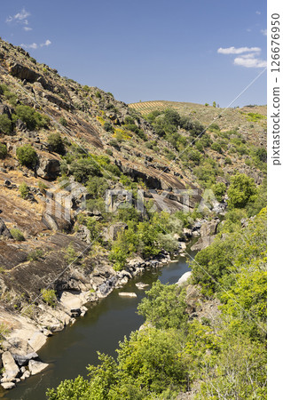Tua Nature Park (Parque natural Vale do Tua), Northern Portugal, Portugal 126676950