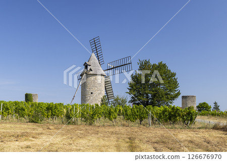 Windmill with vineyard near Montagne, Saint-Emilion wine region, departement Gironde, France 126676970