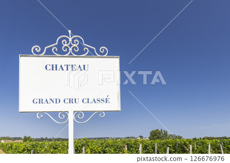 Typical vineyards with information board Grand Cru Classe near Saint-Emilion, Bordeaux, Aquitaine, France 126676976