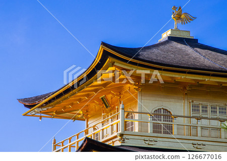 晴朗的日子裡的京都金閣寺 晴朗的日子裡的京都金閣寺 126677016