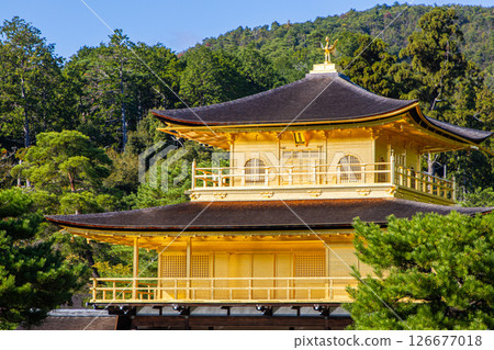 晴朗的日子裡的京都金閣寺 晴朗的日子裡的京都金閣寺 126677018