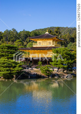 Kinkakuji Temple in Kyoto on a clear day 126677020