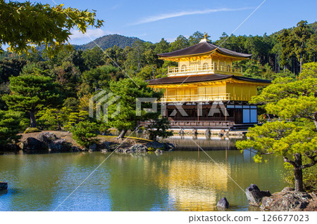 Kinkakuji Temple in Kyoto on a clear day Kinkakuji Temple in Kyoto on a clear day 126677023