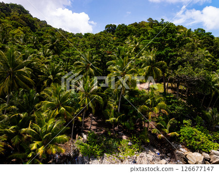 High angle view mountains rainforest green background. High angle view mountains rainforest green background. 126677147