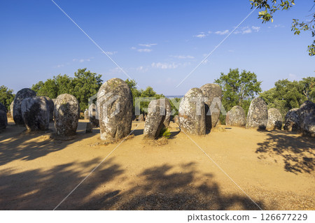 Cromeleque dos Almendres near Evora, Portugal, casting long shadows on a sunny day 126677229