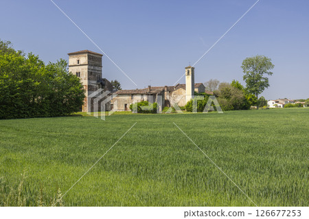 Abandoned rural building dominating green wheat field in Pojana Maggiore, Veneto, Italy Abandoned rural building dominating green wheat field in Pojana Maggiore, Veneto, Italy 126677253