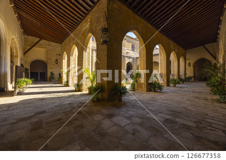 Potted plants decorating the renaissance cloister of Baeza Cathedral in Andalusia, Spain Potted plants decorating the renaissance cloister of Baeza Cathedral in Andalusia, Spain 126677358