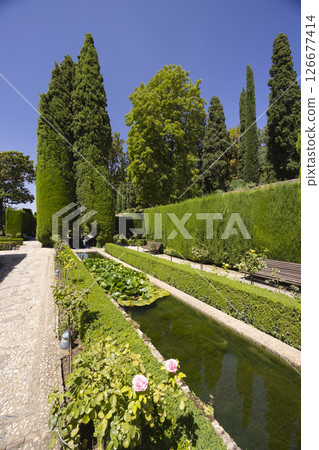 Generalife Gardens displaying beautiful water fountains, hedges, and flowers in Granada, Spain Generalife Gardens displaying beautiful water fountains, hedges, and flowers in Granada, Spain 126677414