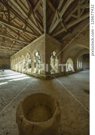 Cloister of Collegiate Church of Saint Pierre illuminating stone font in La Romieu, France Cloister of Collegiate Church of Saint Pierre illuminating stone font in La Romieu, France 126677432