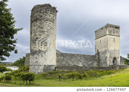 Historic Bellocq Castle Ruins in France 126677497