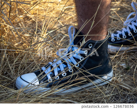 A person is standing in a sunny field surrounded by golden hay sporting a stylish pair of black and white sneakers A person is standing in a sunny field surrounded by golden hay sporting a stylish pair of black and white sneakers 126678036