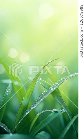 Vibrant green grass blades glisten with fresh dew drops, catching the soft sunlight of a spring morning, creating a serene and refreshing natural scene 126678988