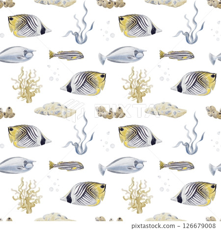 Seamless pattern with tropical fish. Striped exotic fish. Underwater world. Algae and corals. Seabed. Ocean world. Watercolor illustration without background. Hand drawing. High quality illustration 126679008