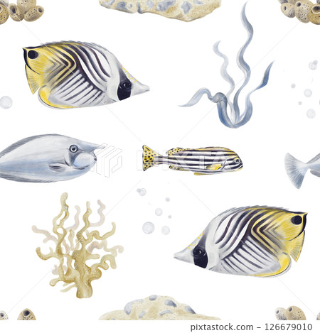 Seamless pattern with tropical fish. Striped exotic fish. Underwater world. Algae and corals. Seabed. Ocean world. Watercolor illustration without background. Hand drawing. High quality illustration Seamless pattern with tropical fish. Striped exotic fish. Underwater world. Algae and corals. Seabed. Ocean world. Watercolor illustration without background. Hand drawing. High quality illustration 126679010