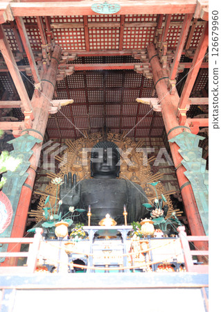 東大寺大佛(毘盧遮那佛坐像) 東大寺大佛(毘盧遮那佛坐像) 126679960
