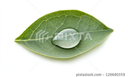 Glistening water droplet resting on a vibrant green leaf embodies nature, purity, and sustainability, ideal for eco conscious and environmental projects 126680359