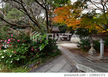 Munakata Shrine in Autumn 126681372