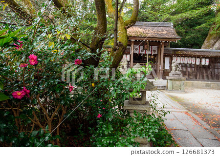 秋季的宗像神社 126681373