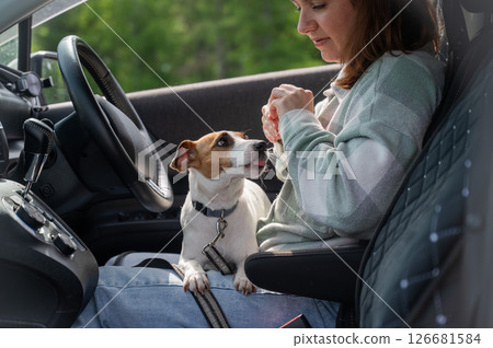 Caucasian woman traveling by car with her dog.  126681584