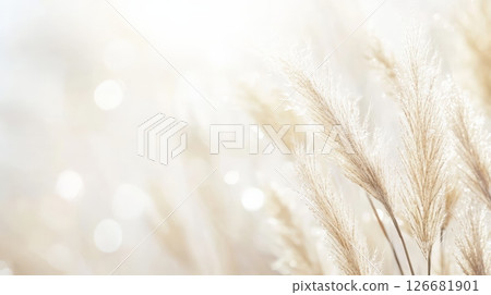 Pampas grass plumes sway gently in the golden sunlight, creating a serene and dreamy atmosphere with soft bokeh in the background, evoking tranquility and the beauty of nature 126681901