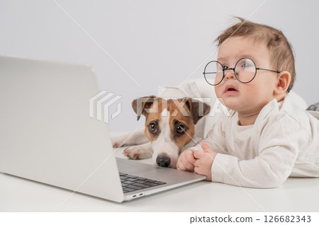 Cute baby boy and Jack Russell terrier dog working on a laptop.  126682343