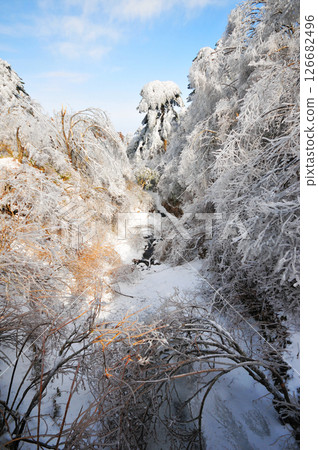 Mountain landscape after heavy snowfall, trees covered with snow and rime, China, Anhui Province, Mount Huang Mountain landscape after heavy snowfall, trees covered with snow and rime, China, Anhui Province, Mount Huang 126682496