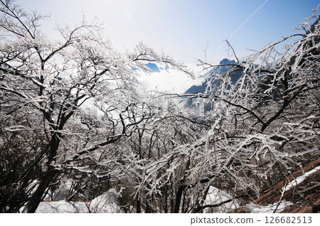 Mountain landscape after heavy snowfall, trees covered with snow and rime, China, Anhui Province, Mount Huang Mountain landscape after heavy snowfall, trees covered with snow and rime, China, Anhui Province, Mount Huang 126682513