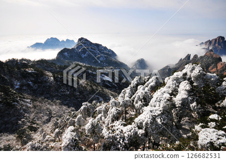 Mountain landscape after heavy snowfall, trees covered with snow and rime, sea of fluffy misty clouds ,China, Anhui Province, Mount Huang 126682531