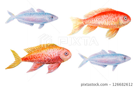 Watercolor set of four colorful fish, hand-painted in blue, red, orange, and yellow tones. Isolated marine elements perfect for ocean-themed compositions and underwater scenes. Watercolor set of four colorful fish, hand-painted in blue, red, orange, and yellow tones. Isolated marine elements perfect for ocean-themed compositions and underwater scenes. 126682612