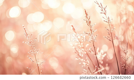 Gentle sunlight illuminates delicate meadow grasses, creating a warm and inviting scene with a soft bokeh background, evoking a sense of tranquility and natural beauty 126682660