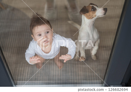 Cute baby boy and Jack Russell terrier dog looking through the patio window. Cute baby boy and Jack Russell terrier dog looking through the patio window. 126682694