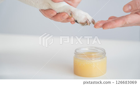 The owner puts wax on the dog's paws.  126683069