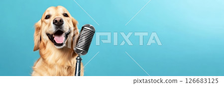 Golden retriever dog holding a vintage microphone and singing on a blue background, creating a funny and engaging scene perfect for music, entertainment, or pet related projects 126683125