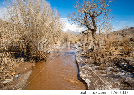 Mountain stream at the foot of the Red Mountains Mars Altai Russia. Natural watercourse in a unique colorful geological landscape. Mountain stream at the foot of the Red Mountains Mars Altai Russia. Natural watercourse in a unique colorful geological landscape. 126683323