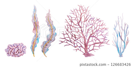 Collection of watercolor marine plants and corals in violet, pink, and blue hues. Hand-drawn underwater flora elements isolated on transparent background, perfect for ocean designs 126683426