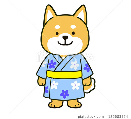 Shiba Inu wearing a light blue yukata with a floral pattern 126683554