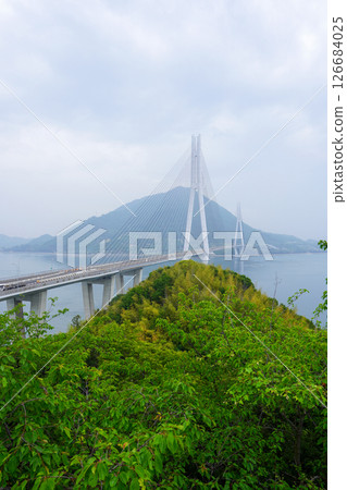 Tatara Bridge as seen from the Tatara Observatory 126684025