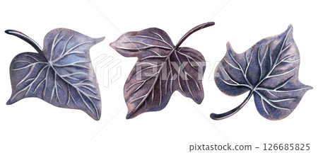 Dark purple and blue night ivy foliage. Gothic mysterious floral watercolor illustration. Perfect for Halloween decoration, midnight composition, magic or witch set, whimsical design, elegant print. Dark purple and blue night ivy foliage. Gothic mysterious floral watercolor illustration. Perfect for Halloween decoration, midnight composition, magic or witch set, whimsical design, elegant print. 126685825